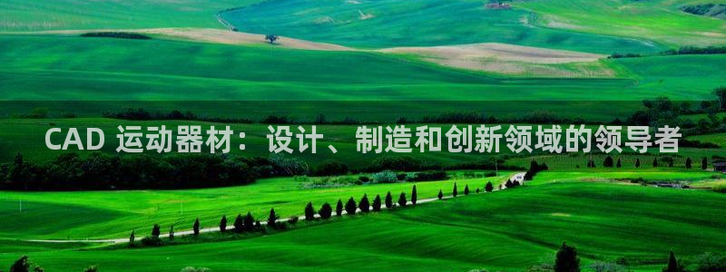 意昂3集团logo：CAD 运动器材：设计、制造和创