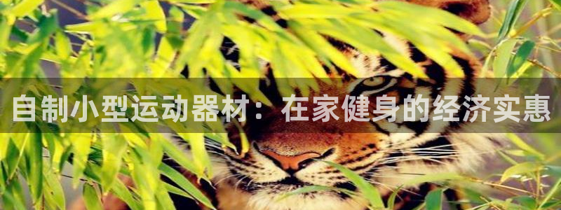意昂3开户