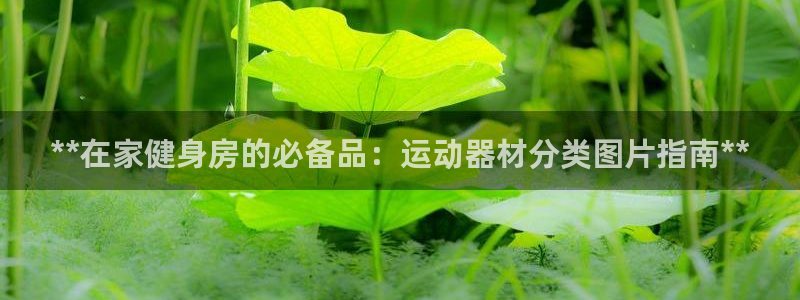 意昂3集团logo：**在家健身房的必备品：运动器材