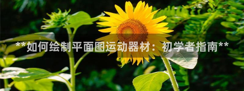 意昂3娱乐下载：**如何绘制平面图运动器材：初学者指