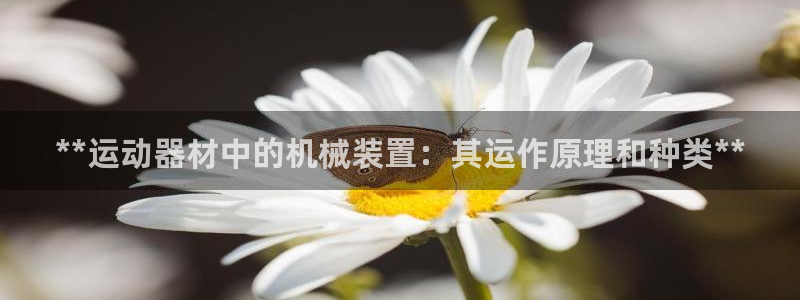 意昂体育3平台注册流程视频：**运动器材中的机械装置