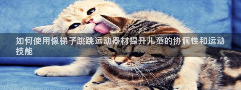 海南意昂体育3：如何使用像梯子跳跳运动器材提升儿童的