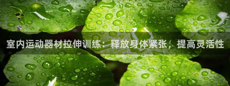意昂3娱乐首页官网下载：室内运动器材拉伸训练：释放身