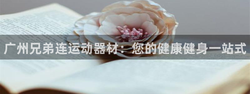意昂3神州