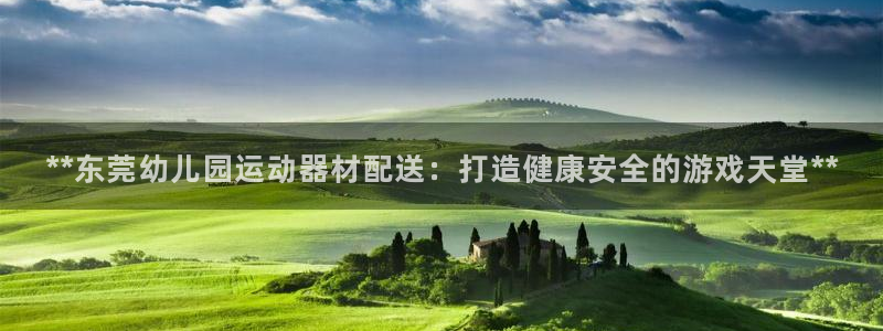 意昂3官网：**东莞幼儿园运动器材配送：打造健康安全