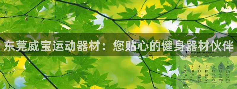 意昂体育3官方客服电话：东莞威宝运动器材：您贴心的健