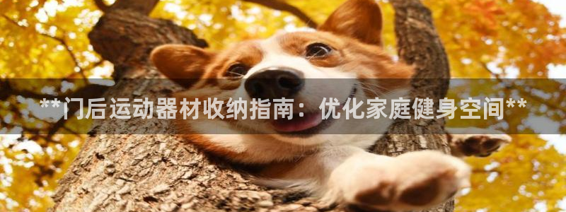 意昂体育3招商电话号码：**门后运动器材收纳指南：优