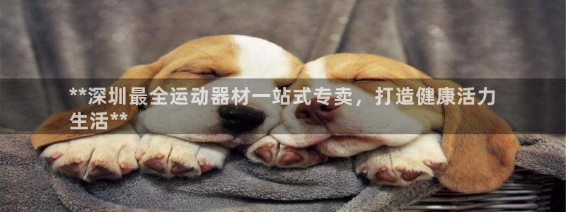 意昂体育3娱乐：**深圳最全运动器材一站式专卖，打造