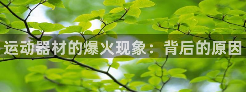 意昂体育3招商电话是多少号码：运动器材的爆火现象：背