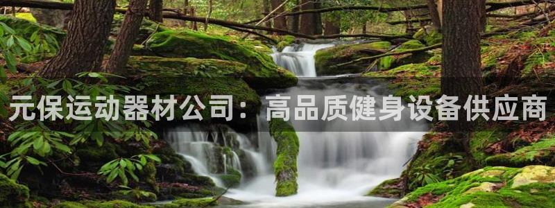 意昂体育3平台APP：元保运动器材公司：高品质健身设