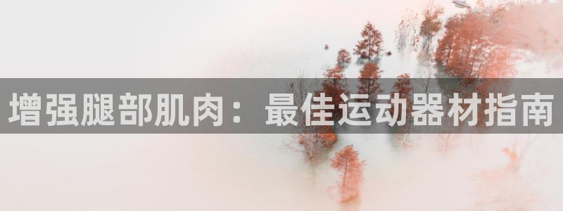 意昂体育3平台：增强腿部肌肉：最佳运动器材指南