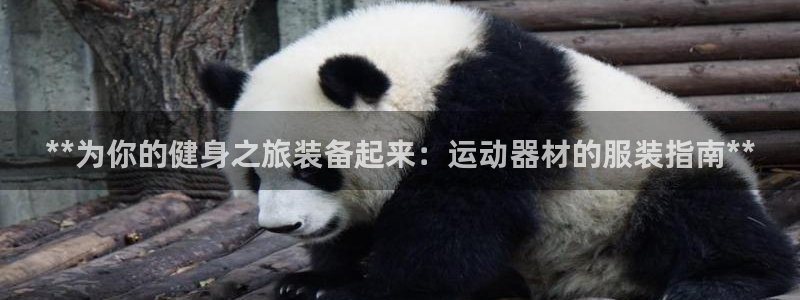 意昂3娱乐是那个系列的台子：**为你的健身之旅装备起