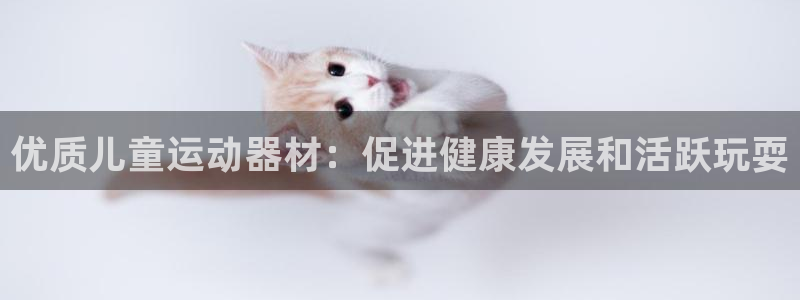 意昂体育3注册：优质儿童运动器材：促进健康发展和活跃