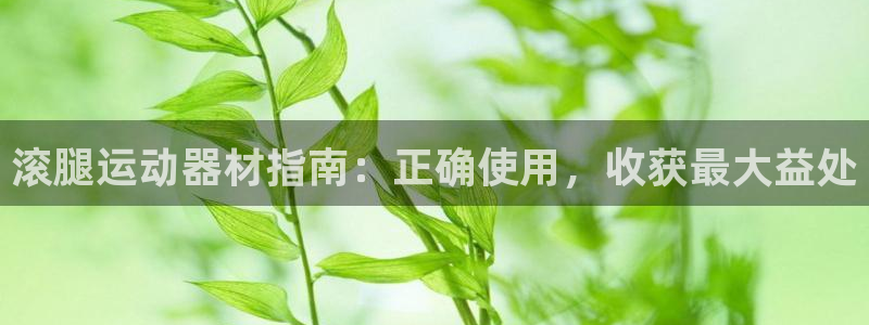 意昂体育3招商电话：滚腿运动器材指南：正确使用，收获