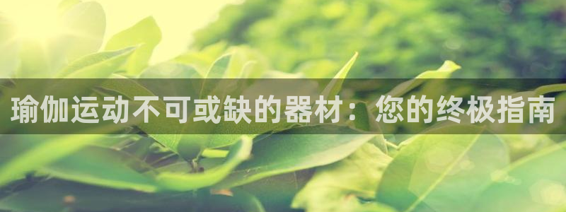 意昂体育3官方客服电话：瑜伽运动不可或缺的器材：您的