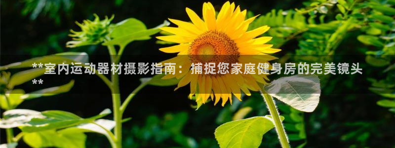 意昂3集团E.ON：**室内运动器材摄影指南：捕捉您