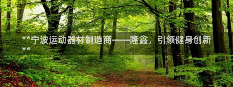 意昂集团官网：**宁波运动器材制造商——隆鑫，引领健身创新
