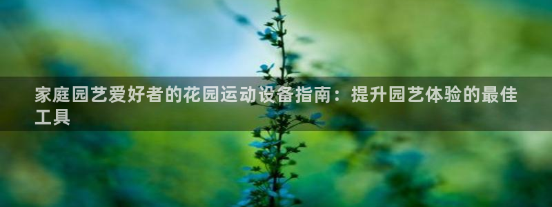 意昂3新能源：家庭园艺爱好者的花园运动设备指南：提升