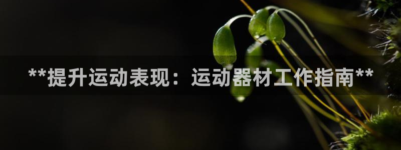 意昂3娱乐是那个系列的台子：**提升运动表现：运动器