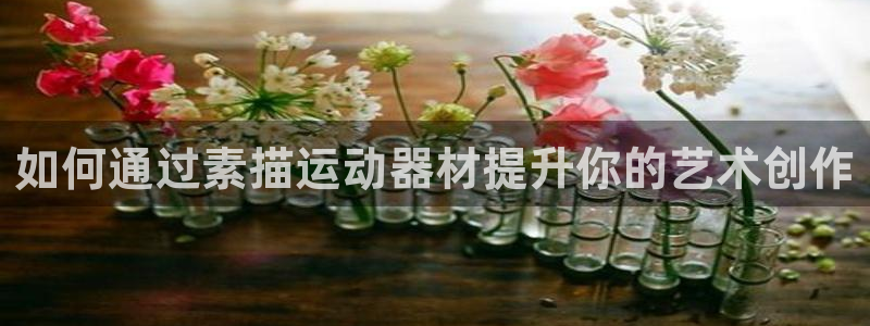 意昂体育3官方客服电话：如何通过素描运动器材提升你的