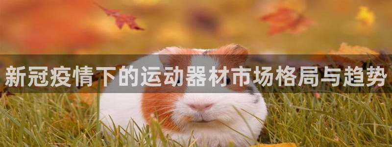意昂体育3是干嘛的公司：新冠疫情下的运动器材市场格局