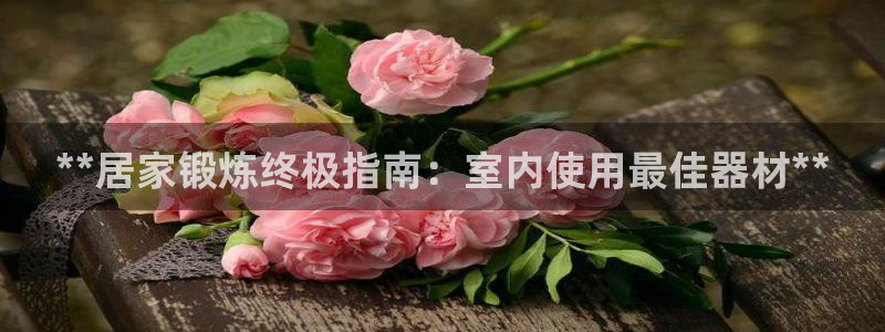 意昂3官方：**居家锻炼终极指南：室内使用最佳器材*