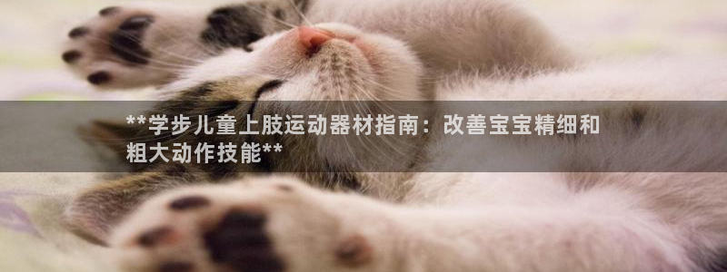 意昂体育3：**学步儿童上肢运动器材指南：改善宝宝精