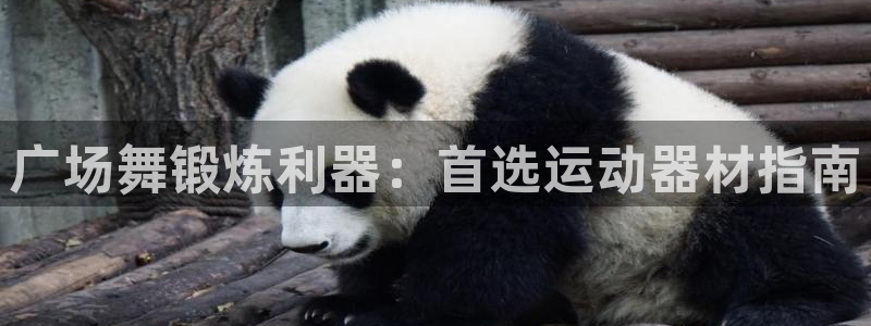 意昂3娱乐下载：广场舞锻炼利器：首选运动器材指南