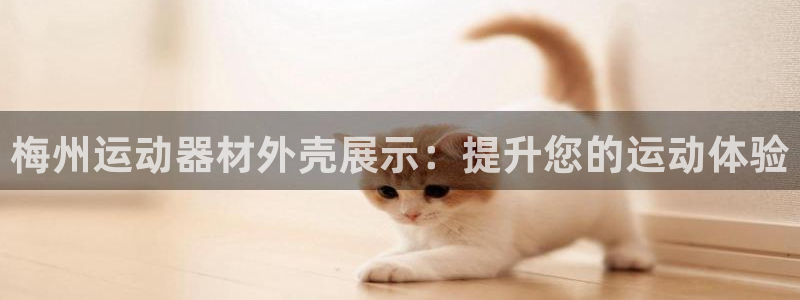 意昂3集团：梅州运动器材外壳展示：提升您的运动体验