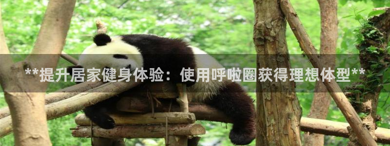 意昂3集团logo：**提升居家健身体验：使用呼啦圈