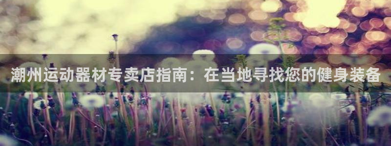 意昂体育3招商电话地址：潮州运动器材专卖店指南：在当