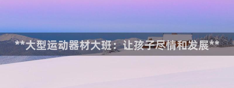 意昂体育3招商电话号码：**大型运动器材大班：让孩子