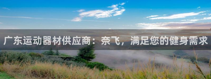 意昂集团官网：广东运动器材供应商：奈飞，满足您的健身