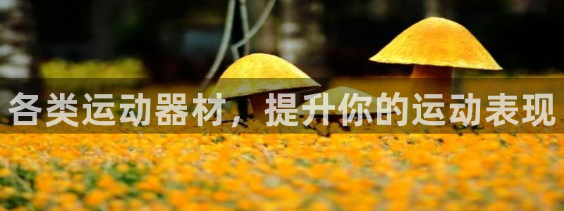 注册意昂3：各类运动器材，提升你的运动表现