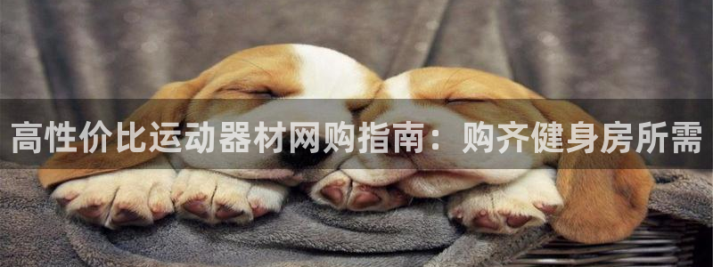 意昂体育3招商电话是多少啊：高性价比运动器材网购指南