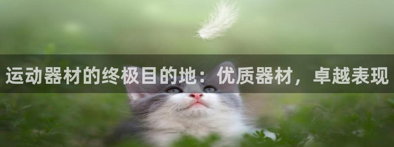 意昂3神州：运动器材的终极目的地：优质器材，卓越表现