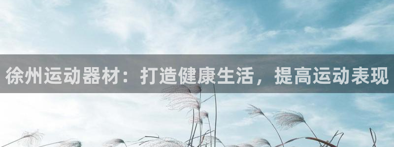 意昂3娱乐网站：徐州运动器材：打造健康生活，提高运动