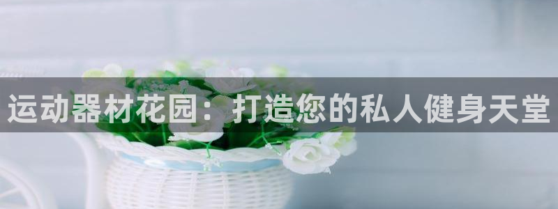 意昂体育3招商电话是多少号码：运动器材花园：打造您的