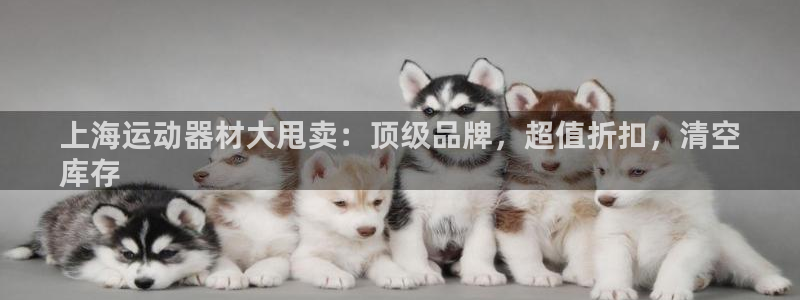 意昂体育3开户：上海运动器材大甩卖：顶级品牌，超值折