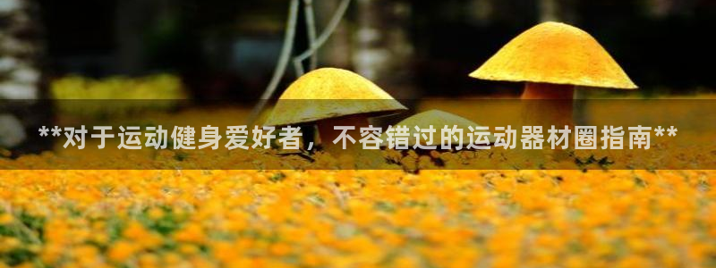 意昂3娱乐网站：**对于运动健身爱好者，不容错过的运