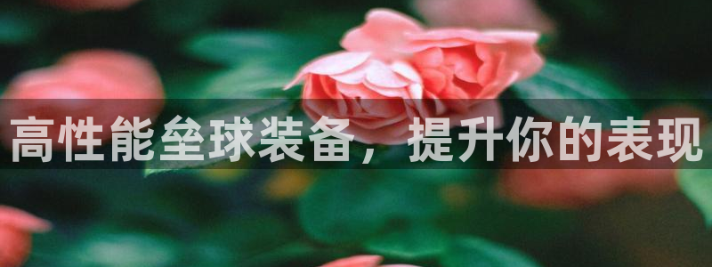 意昂体育3平台注册要钱吗：高性能垒球装备，提升你的表