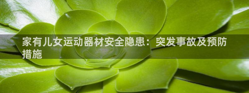 意昂3娱乐是那个系列的台子：家有儿女运动器材安全隐患