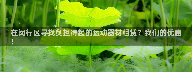 意昂体育3平台注册要钱吗安全吗：在闵行区寻找负担得起
