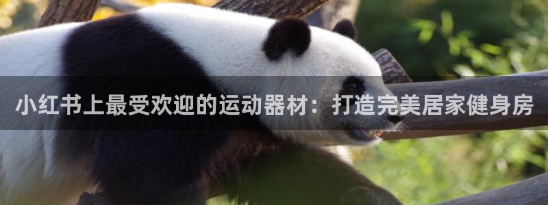 意昂体育3联系电话：小红书上最受欢迎的运动器材：打造