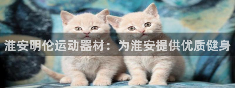 德国意昂3集团：淮安明伦运动器材：为淮安提供优质健身