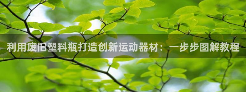 意昂体育3招商电话地址：利用废旧塑料瓶打造创新运动器