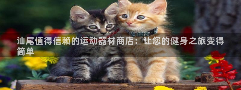 意昂体育3平台注册流程图：汕尾值得信赖的运动器材商店