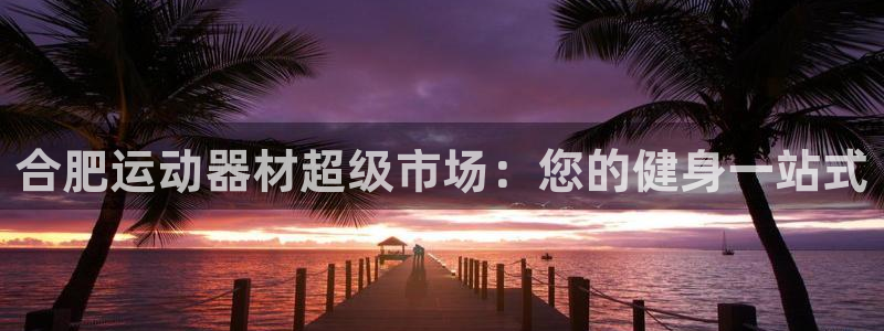 意昂体育3招商电话是多少啊：合肥运动器材超级市场：您