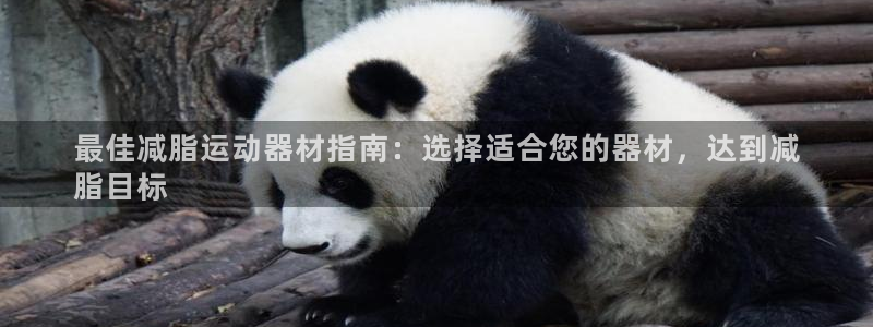 意昂体育3平台注册流程图：最佳减脂运动器材指南：选择