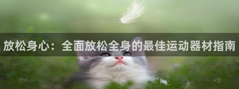 意昂3娱乐40996：放松身心：全面放松全身的最佳运